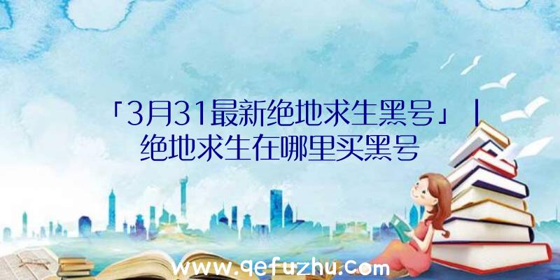 「3月31最新绝地求生黑号」|绝地求生在哪里买黑号